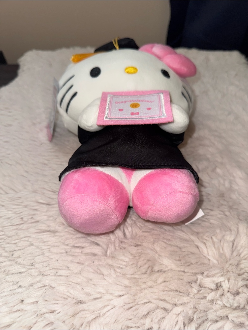 Jazwares Sanrio Hello Kitty and Friends 8 Inch Graduation Plush - Picture 4 of 11